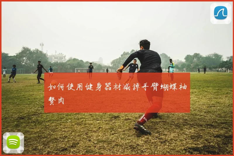 如何使用健身器材减掉手臂蝴蝶袖赘肉