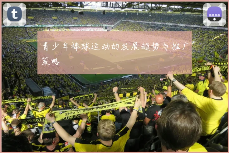 青少年棒球运动的发展趋势与推广策略