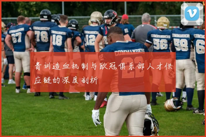 青训造血机制与欧冠俱乐部人才供应链的深度剖析