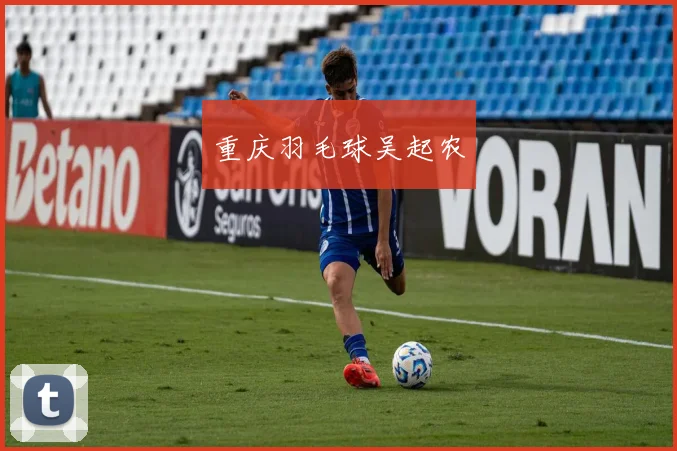 重庆羽毛球吴起农